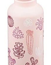 Klean Kanteen 27oz Classic with Sport Cap - Pink Succulents