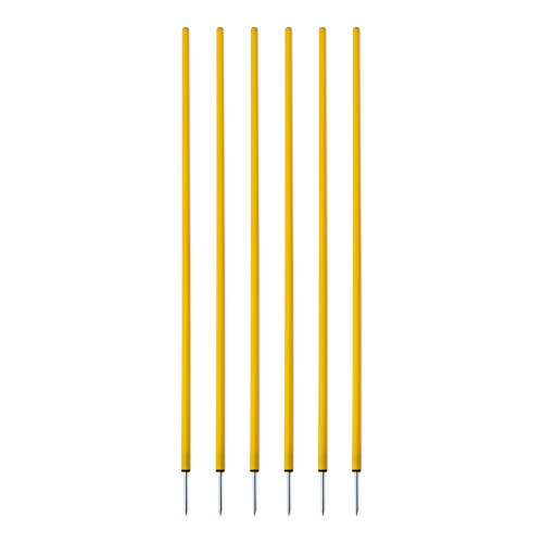 Champion Coaching Sticks (5-Foot) YELLOW Champion Coaching Sticks (5-Foot) YELLOW