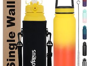 25oz Uninsulated Single Walled Stainless Steel Water Bottle with Straw and Carabiner Lids Sports Metal Water Bottle with Carrier Bag