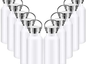 10 Pack 17oz Stainless Steel Sports Water Bottle Double Wall Insulated Bottle with Handle and Vacuum Seal Leakproof Lid for Cyclists Runners Hikers Beach Goers Picnics Camping Gift (White)