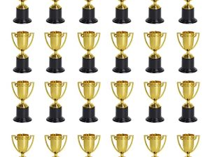 ZZYFGH 24 Pack Mini Gold Award Trophy Cup for Kids and Adults